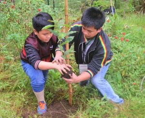 JHMC Plants 5,058 Trees for the Year 2017