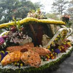 Panagbenga Festival 2013