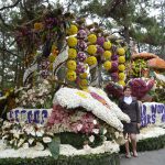 Panagbenga Festival 2013