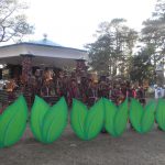 Panagbenga Festival 2013