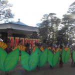 Panagbenga Festival 2013