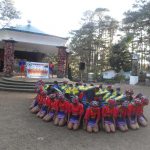 Panagbenga Festival 2013