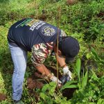 JHMC Tree Planting