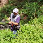 JHMC Tree Planting