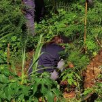 JHMC Tree Planting