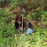 JHMC Tree Planting