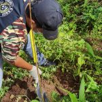 JHMC Tree Planting