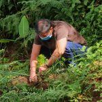 JHMC Tree Planting