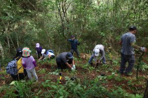 JHMC Conducts Tree Planting Activity in Tublay for Arbor Day