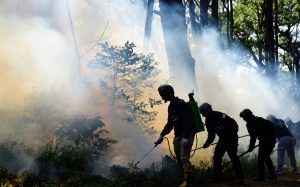 JHMC and BFP-BCFS Conduct 3-Day Fire Brigade and Forest Firefighting Training
